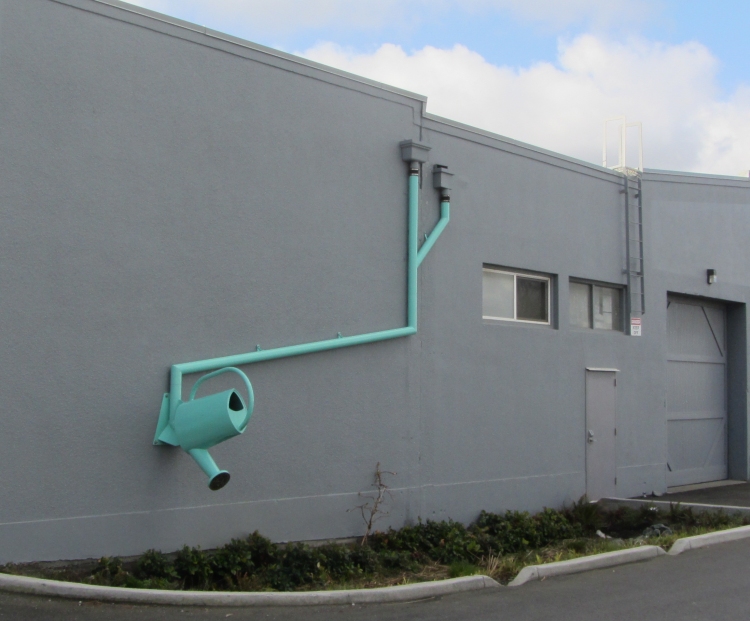 Capturing Rain from the Roof to Water the Garden
